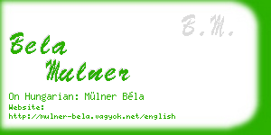 bela mulner business card